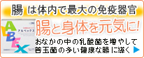 アルベックス〜おなかの中の乳酸菌を増やして、善玉菌の多い健康な腸に導く、高品質のドクターサプリです。